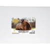 Download Metazoa NaturalFit luzerne verpakking 15 kg EAN 4260176355021
