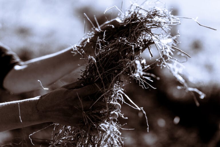 déséquilibre intestinal