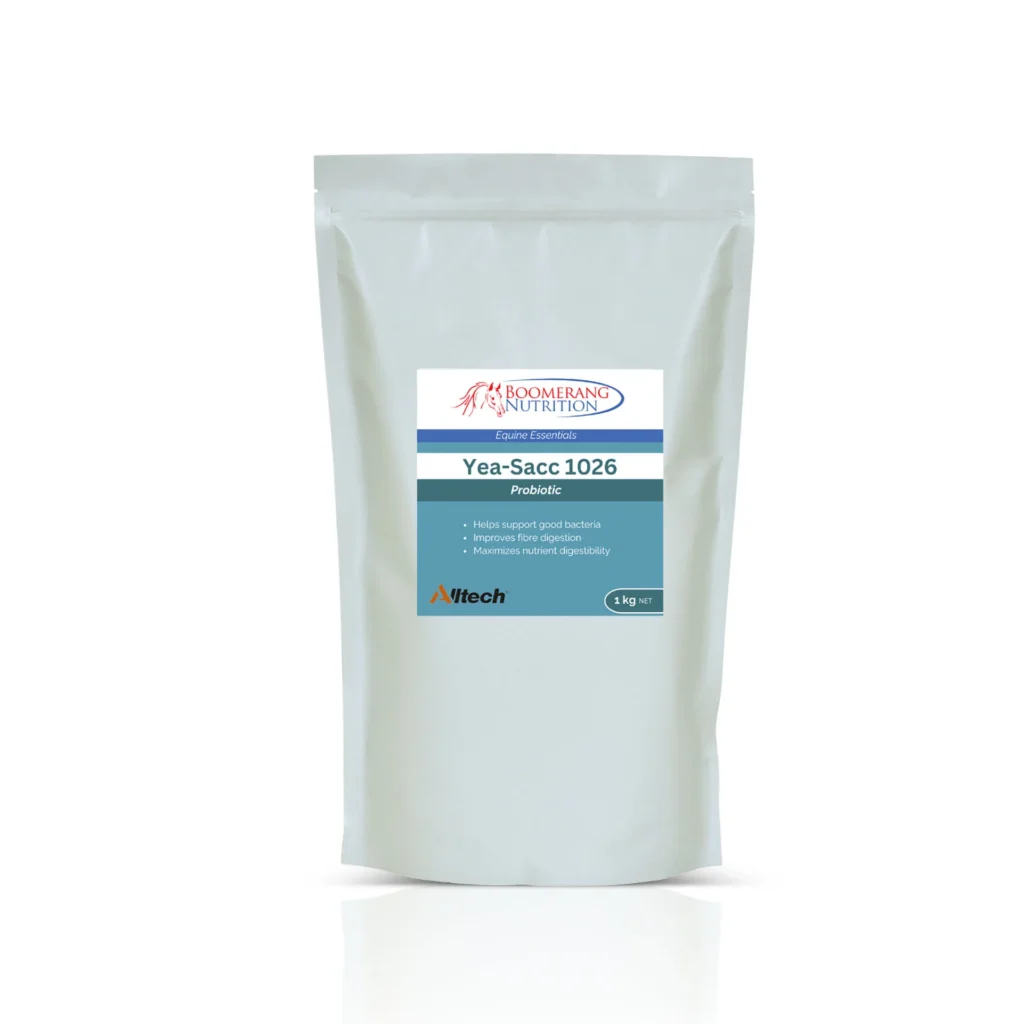 yea-saac-plus-1026.jpg yes-scc 1026