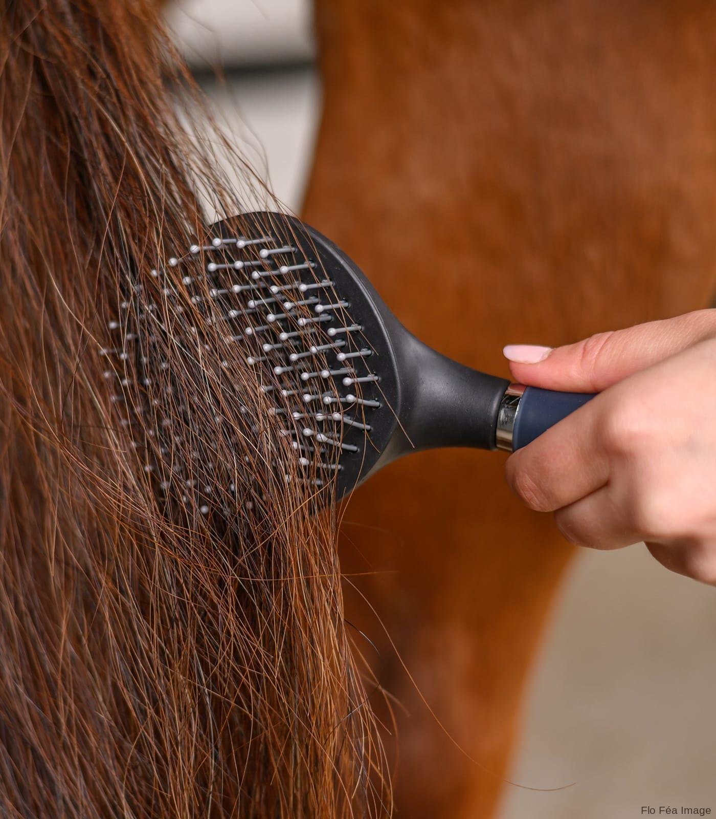 Mane and Tail Longhair Brush with Gel Handle - Image 5