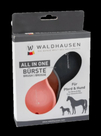 "All-in-one" Brush
