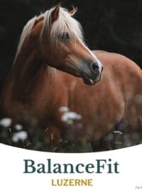 Metazoa Balancefit Alfalfa 15 kg (Fitright)