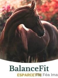 BalanceFit Esparcette