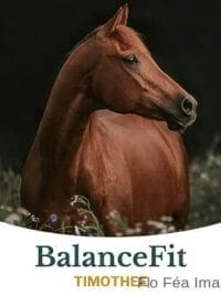 Metazoa Balancefit Timothy 15 kg (FitRight)