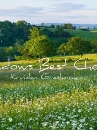 Meadows Best Choice