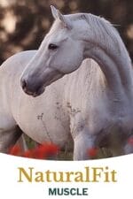 Metazoa Naturalfit Muscle HP23 15 kg