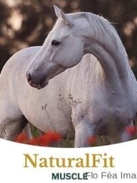 Metazoa Naturalfit Muscle HP23 15 kg