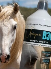 B30 Booster: ALL IN 1 Remedy