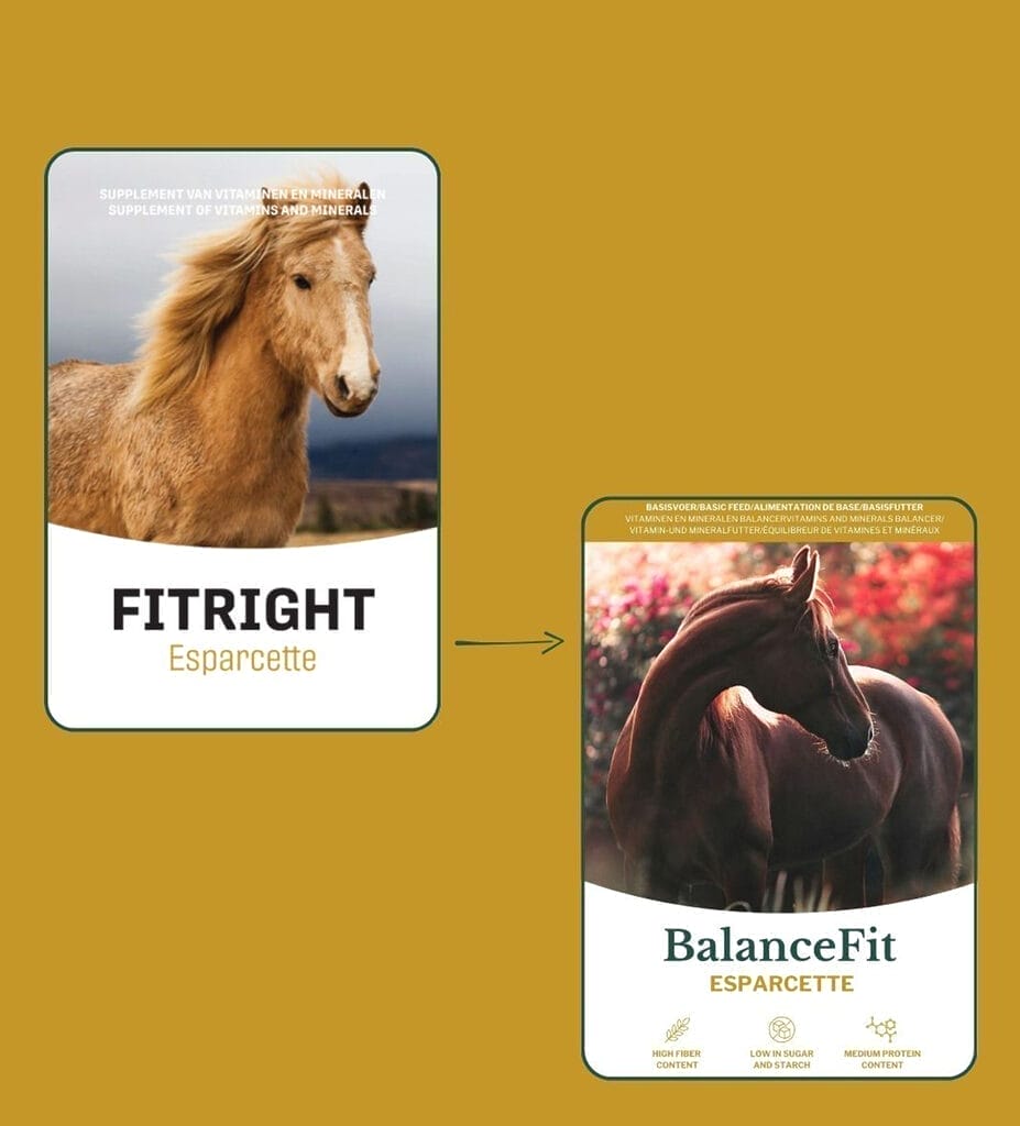 Metazoa Balancefit Esparcette (Fitright) 15 KG