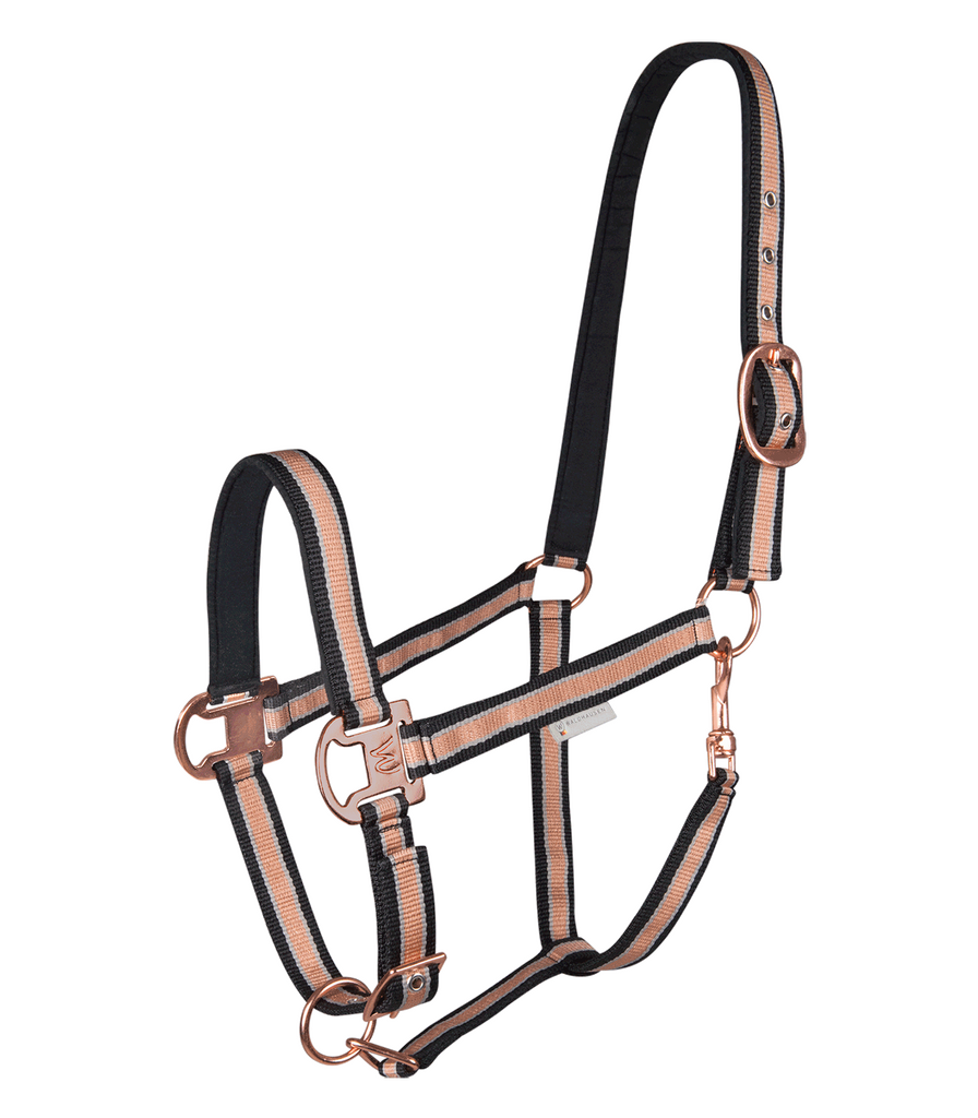 shine-halter-rosé-main