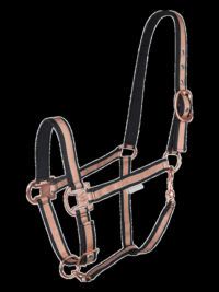 Shine Halter