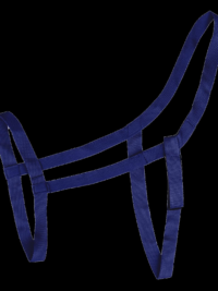 pasture halter blue