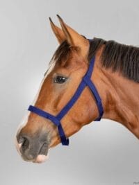 Pasture Halter Navy Blue