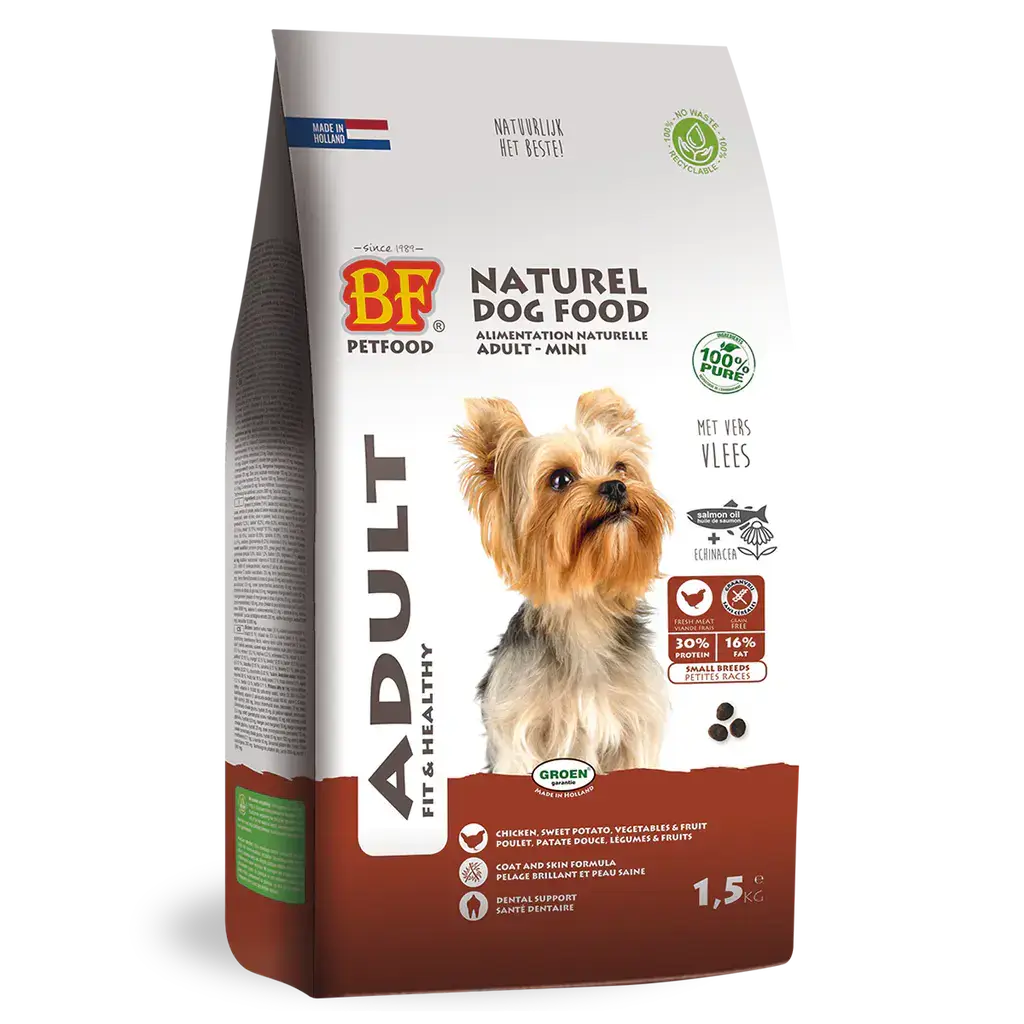 Adult - Mini Dog