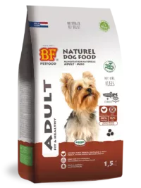 Adult - Mini Dog