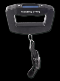 Digital hand scale
