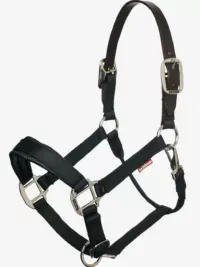 Break Away Halter