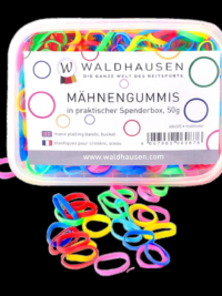 Rainbow Mane bands