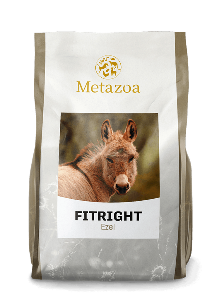 Fitright Donkey 15 kg