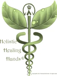 Holistic Healing Hands