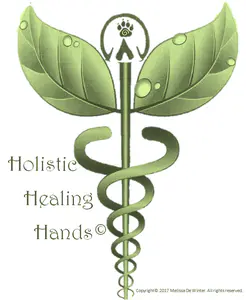 Holistic Healing Hands