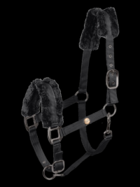 BLACK/ANTRHASITE