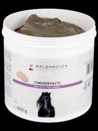 Clay Paste 850 g