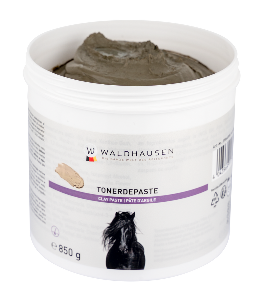 Clay Paste 850 g