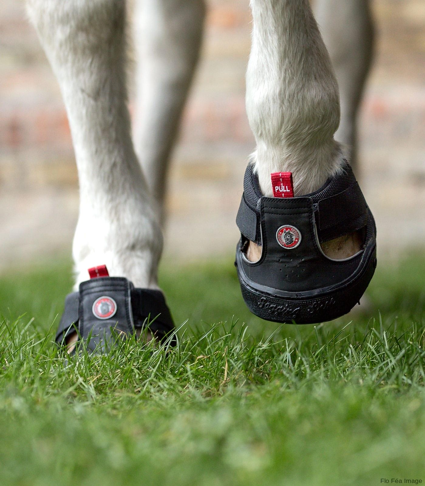 Equine Fusion® Dampening Pad, regular - Image 4