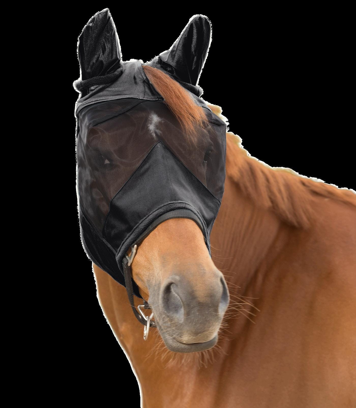 PREMIUM 3-in-1 Fly mask