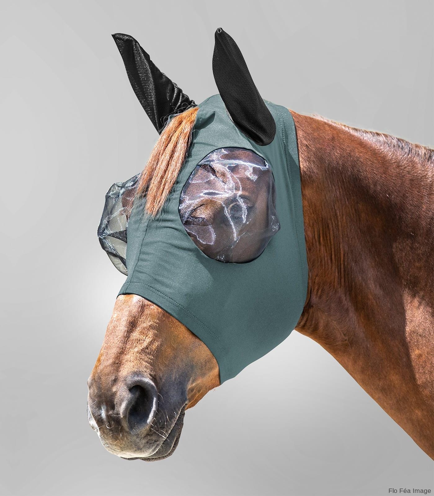 Puck Fly Mask