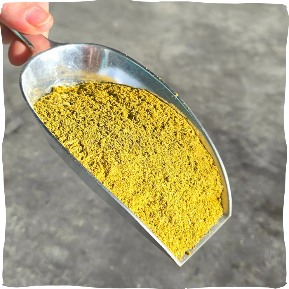 Sea Buckthorn powder