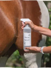 Magnesium Oil