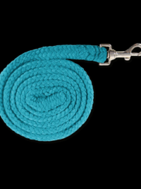 Lead Rope Foal