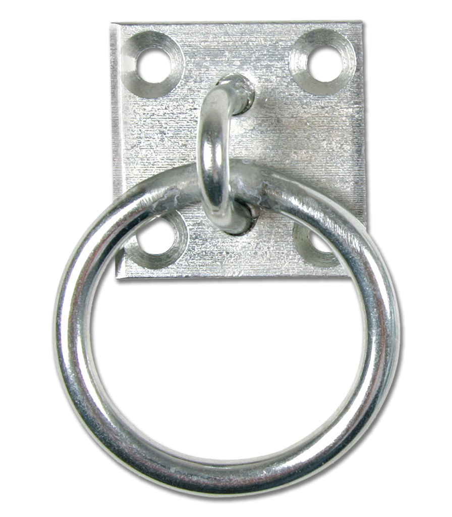 Tie Ring on Wall Plate