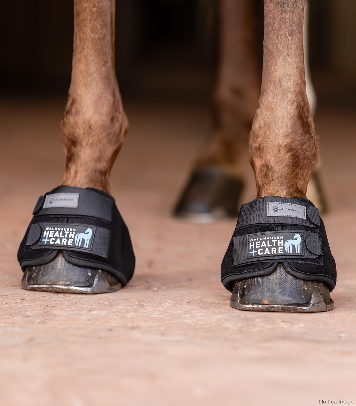 WATER BELL BOOT