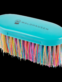 Rainbow Body Brush