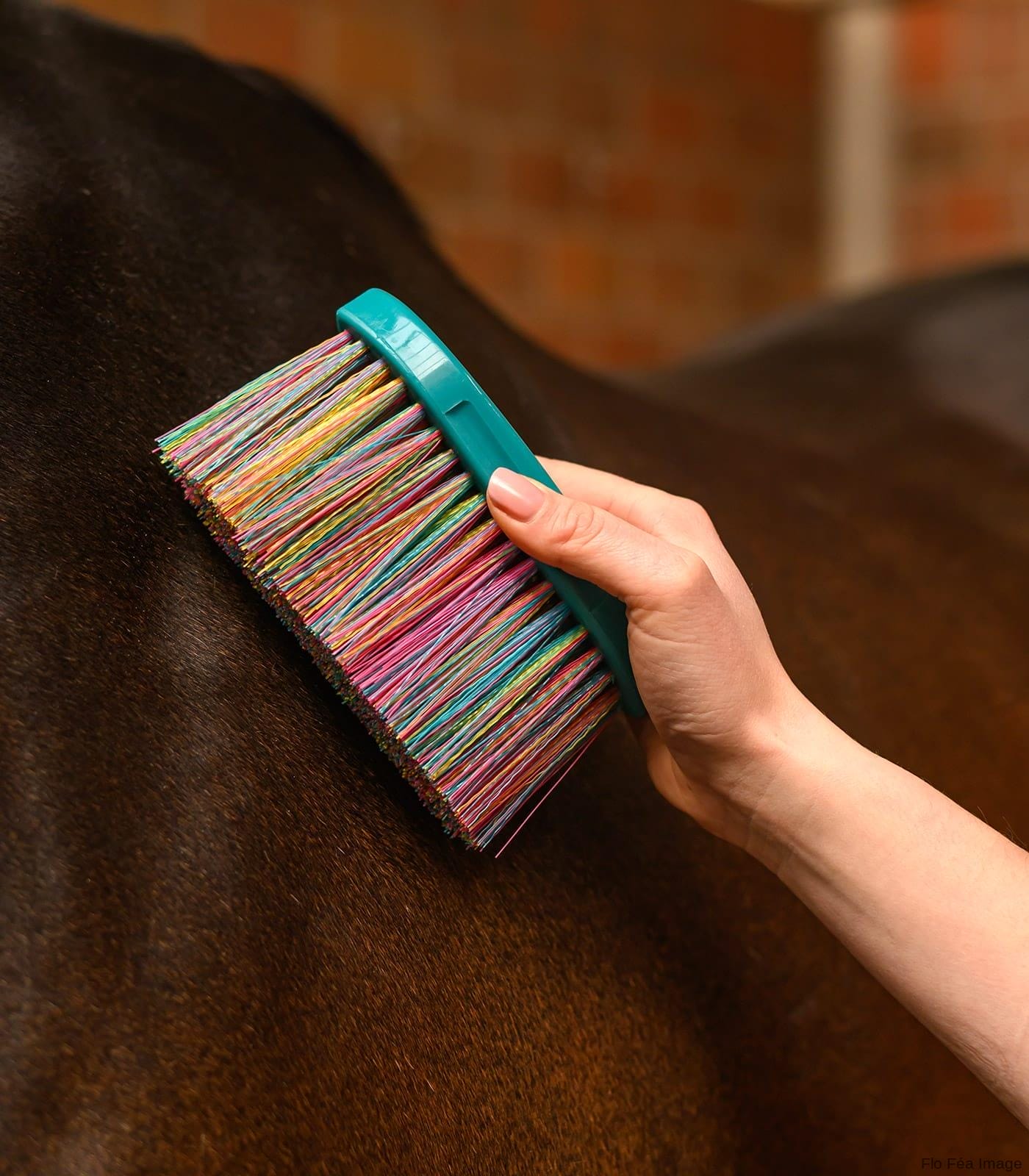 Rainbow Body Brush - Image 4