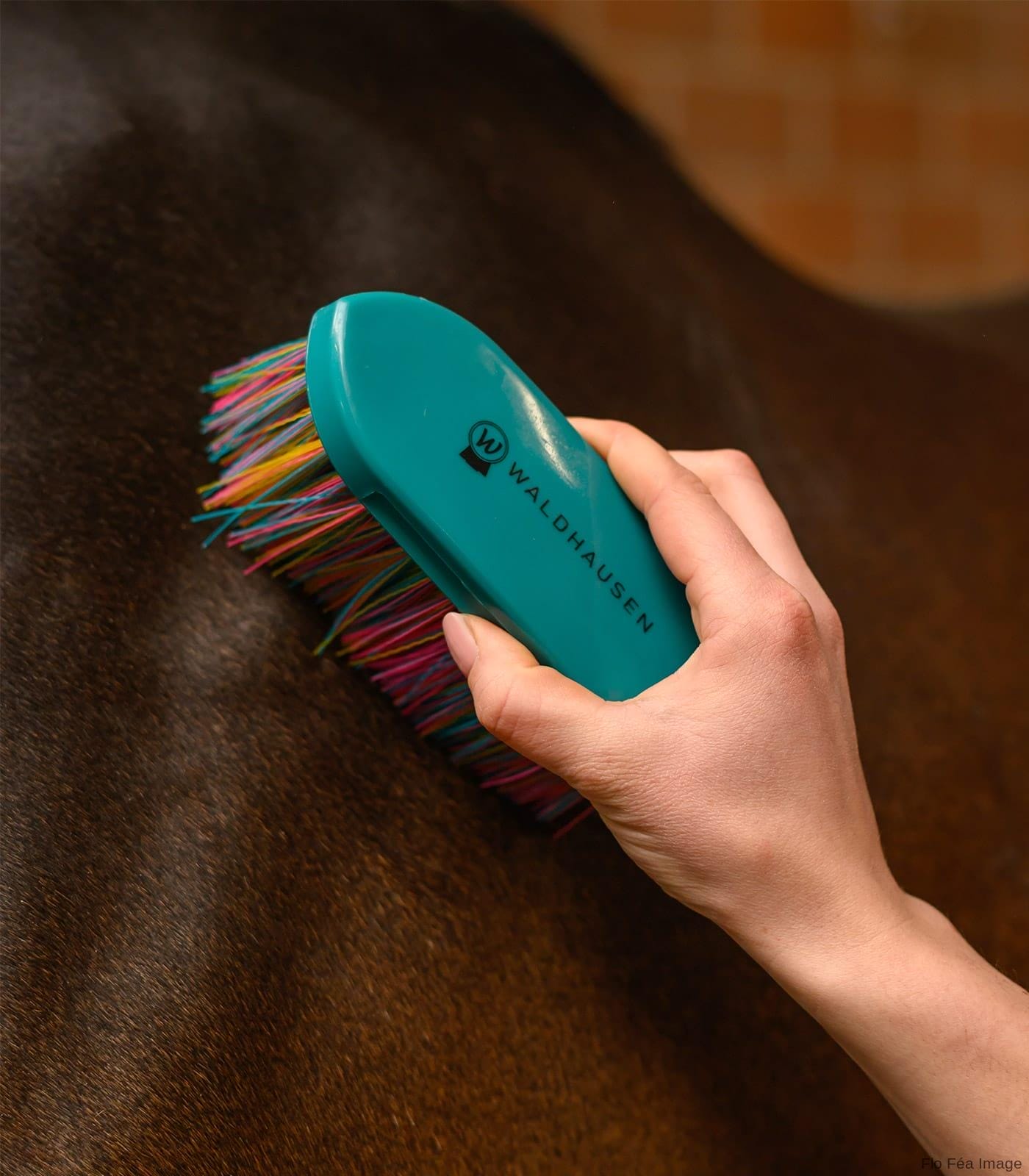 Rainbow Body Brush - Image 3