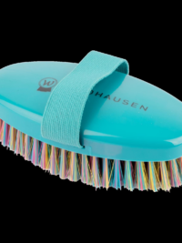 Rainbow Grooming Brush