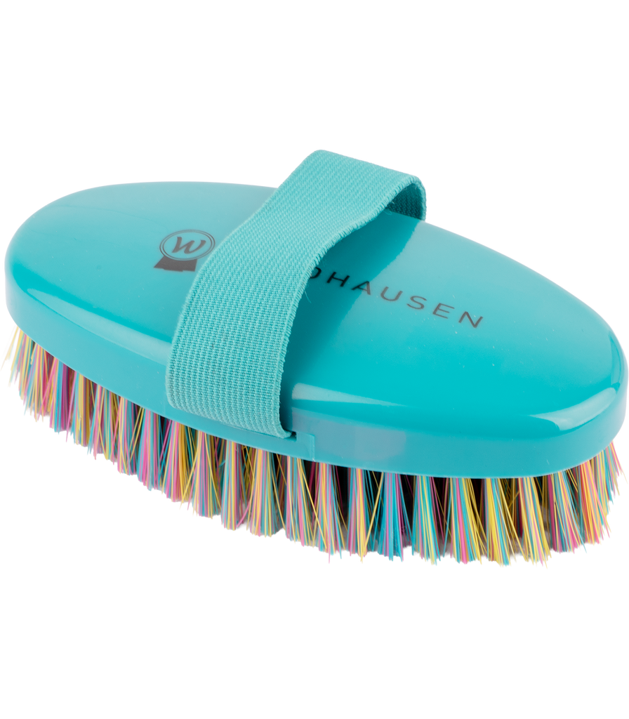 Rainbow Grooming Brush
