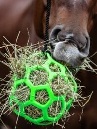Hay Ball Green