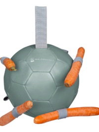 Carrot Ball Mistletoe