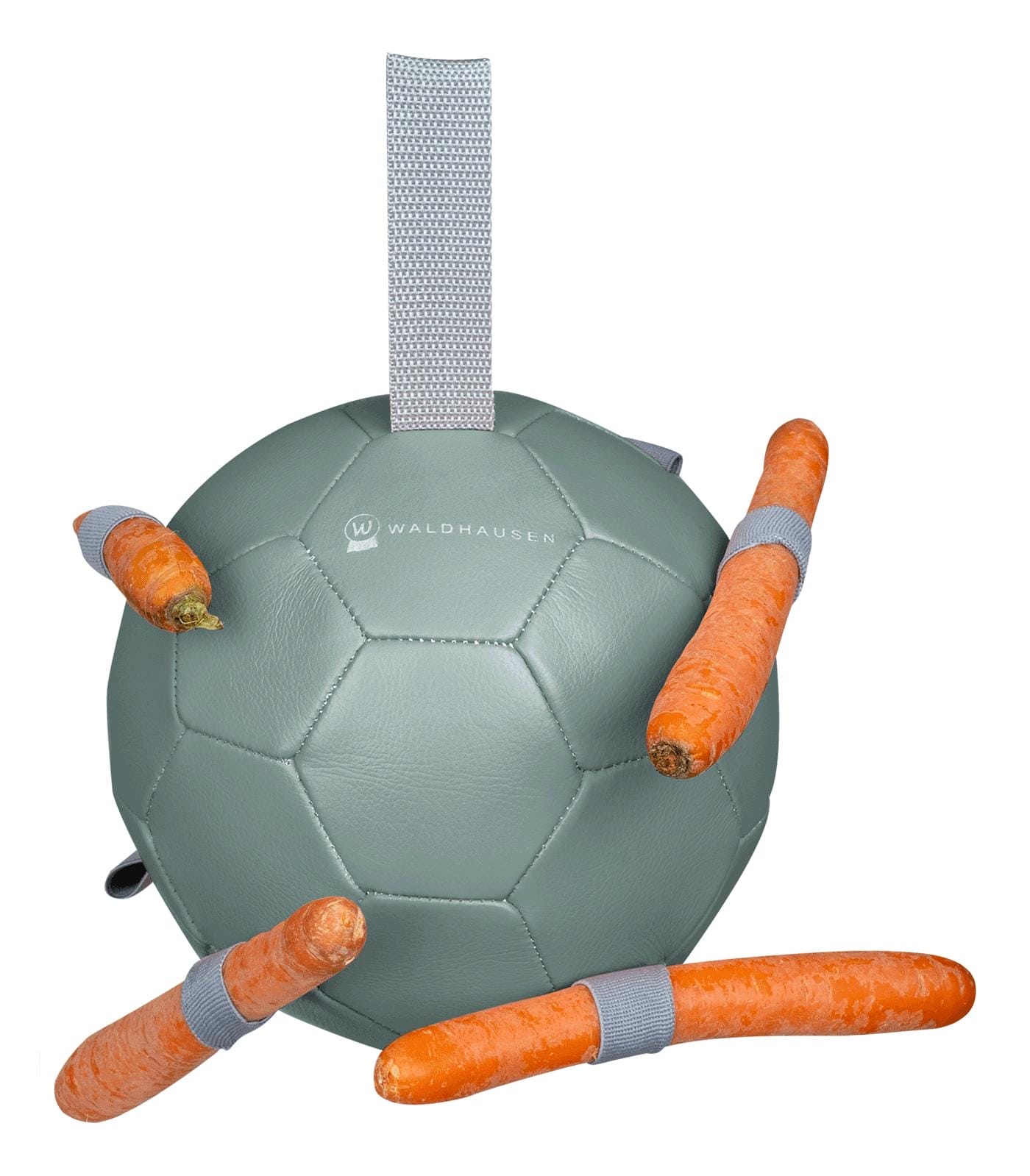 Carrot Ball Mistletoe