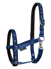 Halter Comfort for Foals