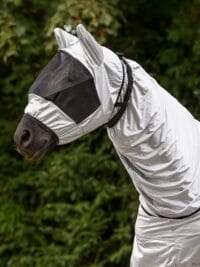 ECZEMA FLY MASK