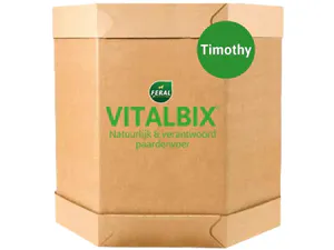 Daily Complete Timothy XL