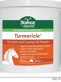 Turmericle® 2KG