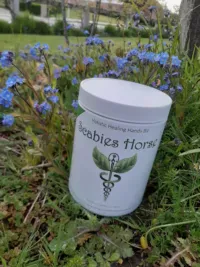 Holistic Healing Hands: The Anti-Rub Program