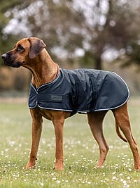 Dog Rain Blanket Navy